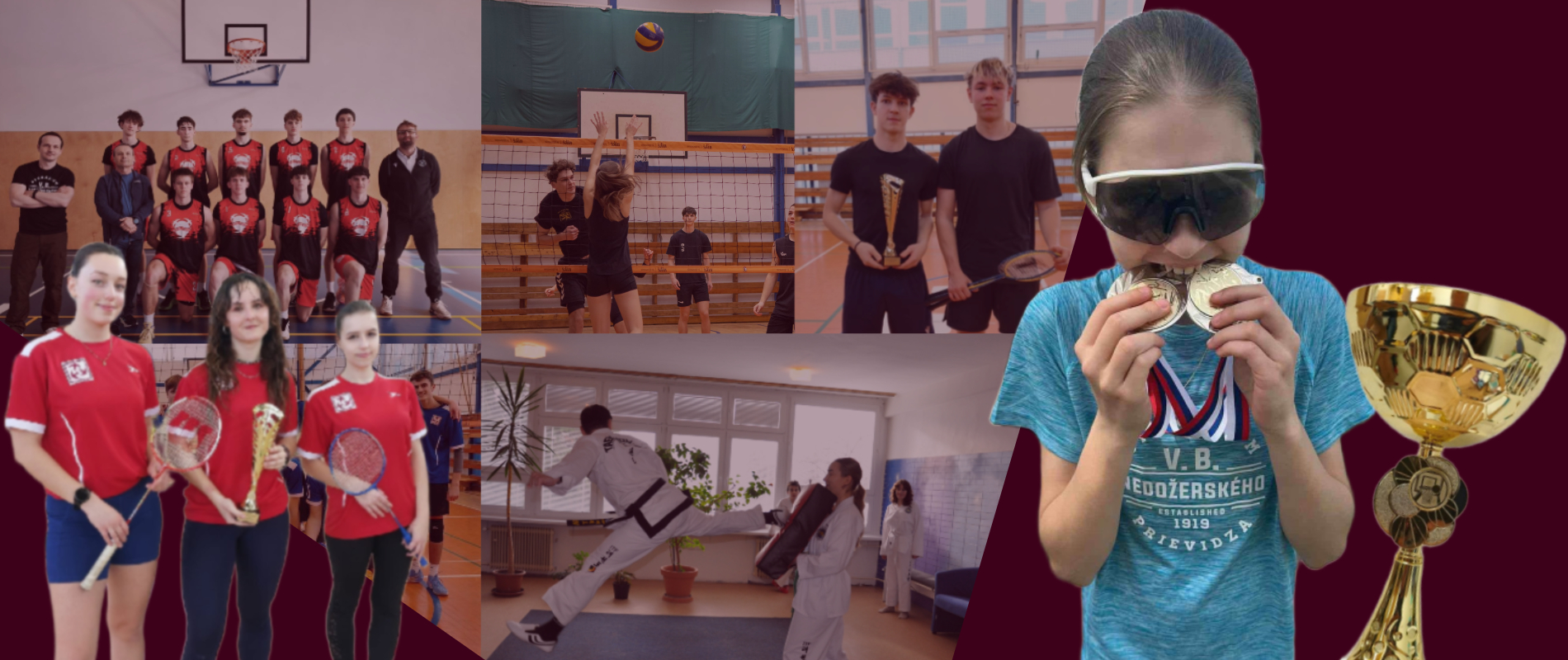 Šport na Gymnáziu V. B. Nedožerského Prievidza